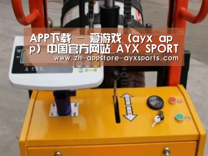 爱游戏体育案例展示三