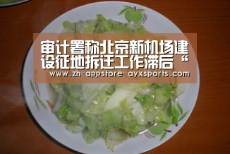  爱游戏官网