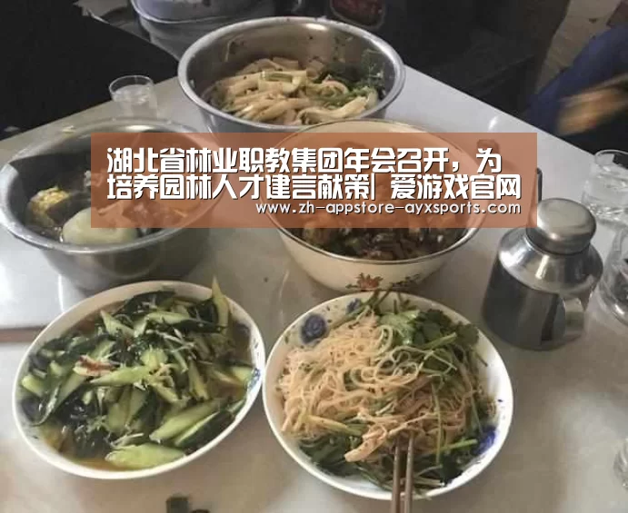 爱游戏体育